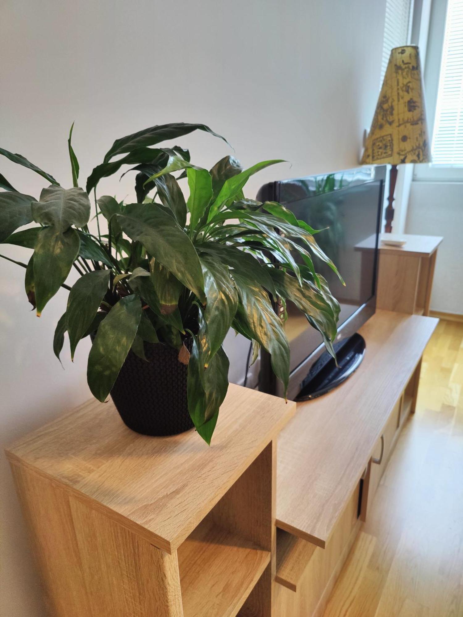Apartman Aleksic Ni Exterior foto